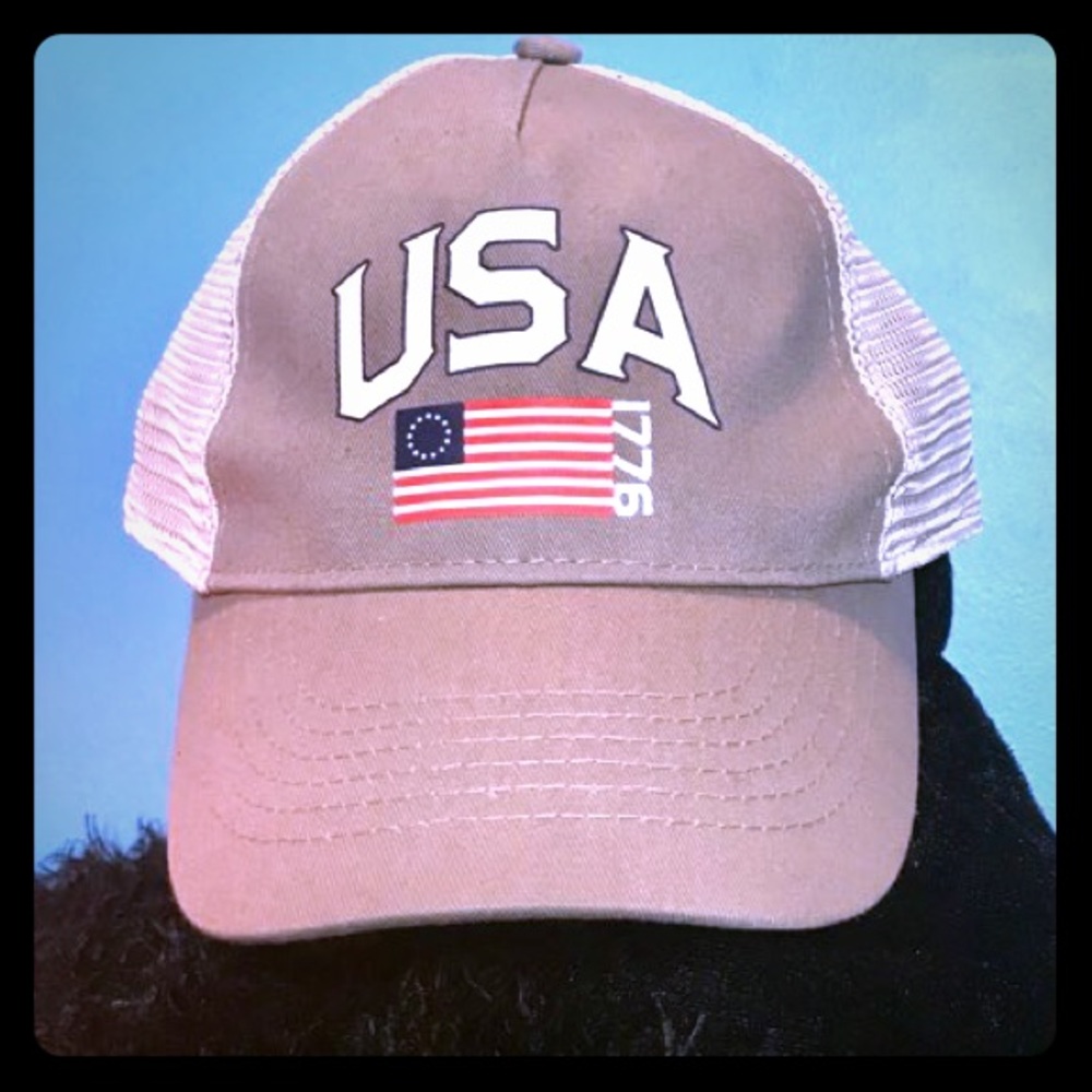 🇺🇸NWOT USA GRAY AND WHITE BALL CAP🇺🇸
